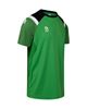 Robey Control Shirt - Groen